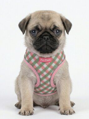 Ultra Comfort Harness - Pink/Green Check